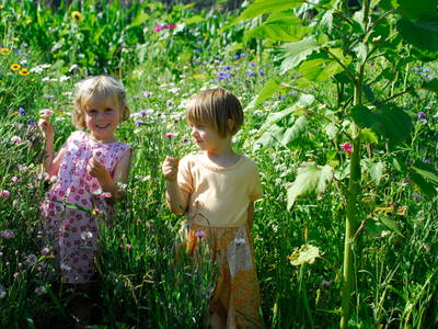 Bild 9 aus  Ferienhof Burghöfe