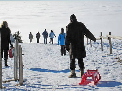 Bild 20 aus  Danielenhof