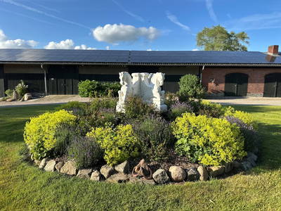 Bild 46 aus  Gut Büchenau  -  Auszeit für Erholungsuchende & Naturliebhaber