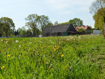 Bild 15 aus  Dennhornshof