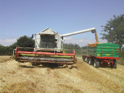 Bild 30 aus  Ferienhof Sell Bauernhofurlaub Ostsee Ponys