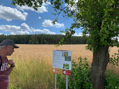 Bild 18 aus  Steigerwaldhof Krafft