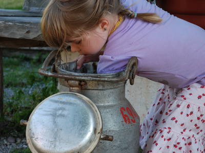 Bild 48 aus  Masererhof - Ferienbauernhof im Chiemgau
