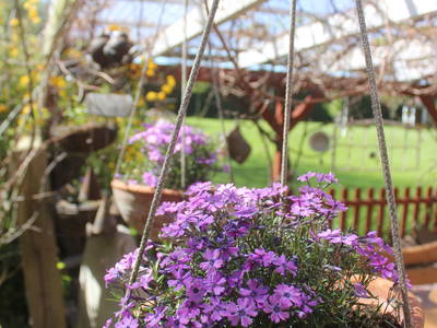 Bild 11 aus  Ferienhof Meetz