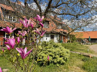 Ferienhof Rauchhaus aus Wittendörp