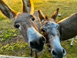 Bild 31 aus  Ferienwohnung Schöner Winkel