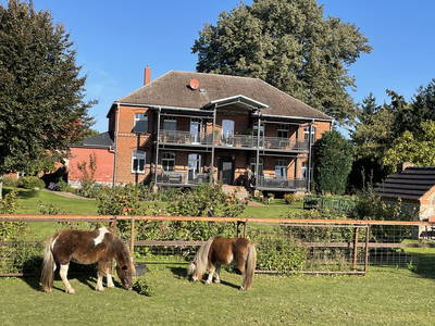 Bild 15 aus  Ferienhof Süllwold