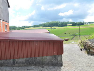 Bild 35 aus  Bauernhofurlaub auf Larbigs Art