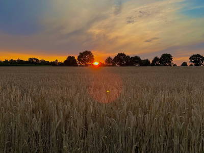 Bild 4 aus  Ferienhof Knoop