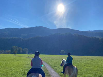 Bild 5 aus  Beim Draxl