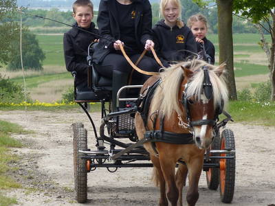 Bild 11 aus  Bernsteinland Wendorf