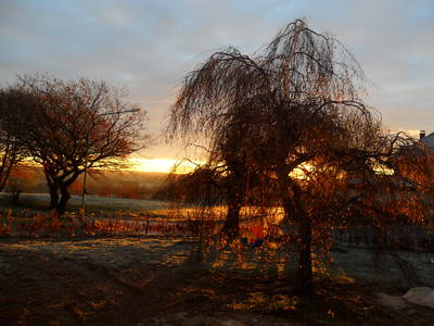 Bild 25 aus  Ferienhof Jansen