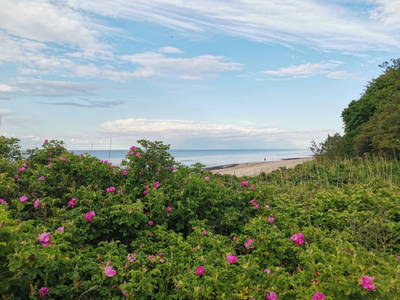 Bild 18 aus  Gut Hohenhain