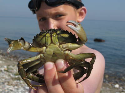 Bild 12 aus  Ferienhof  Nina Weilandt