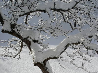 Winterzauber in Nordhessen