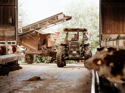 Bild 27 aus  Wendelinshof