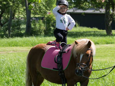 Bild 30 aus  Gut Friederikenhof