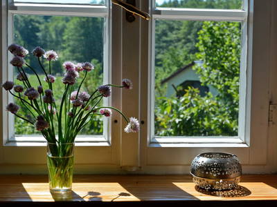 Bild 17 aus  Ferienhaus Pieverstorf 1