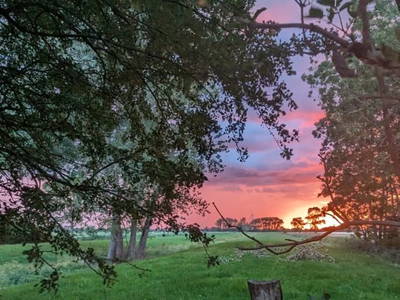 Bild 12 aus  Erholung an der Nordsee - ruhig und dennoch zentral