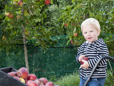 Bild 21 aus  Heideggerhof