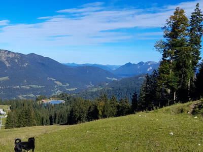 Bild 41 aus  Bichlerhof