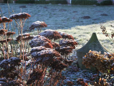 Bild 22 aus  LandSelection Ol' Backhus