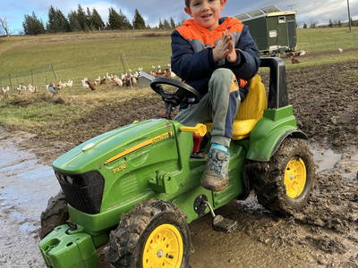 Bild 19 aus  Landkulturhof Glücksbringer