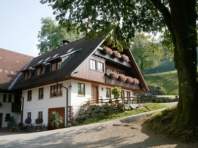 Bild 2 aus  Hanselehof