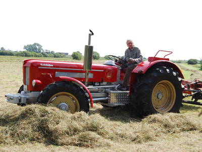 Bild 28 aus  Lindenhof