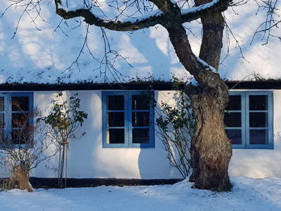 Bild 25 aus  Urlaub bei Familie Schmidt in Wippendorf