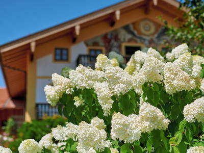 Bild 3 aus  Moierhof Gstadt am Chiemsee