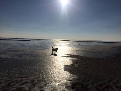 Bild 14 aus  Schwalbenhof