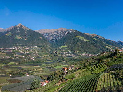 Bild 7 aus  Krebishof