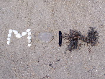 Bild 3 aus  Ferienhof Banck