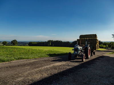 Bild 63 aus  Allgäu Bergferienhof