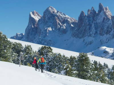 Bild 13 aus  Lippmöshof Apartments