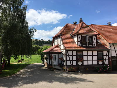 Bild 2 aus  Ferienhof Königsmühle