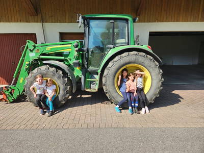 Bild 12 aus  Ferienhof Kober