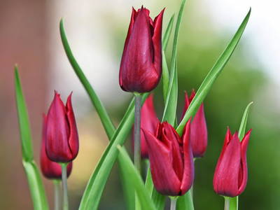 Bild 18 aus  Seehaus Hartwigsdorf