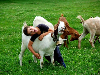 Bild 7 aus  Ferienhof Häckler