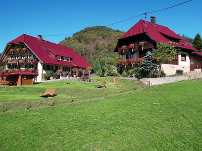 Bild 15 aus  Ferienhof Erdrich  - Ihr Ferienhof  im Schwarzwald