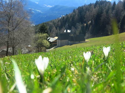 Bild 8 aus  Gasthof Messnerhof
