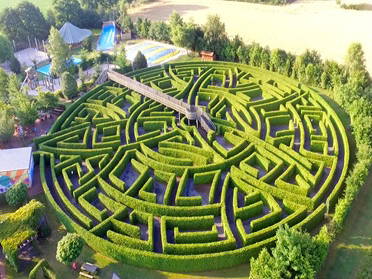 Bild 50 aus  Ferienhof Wübbold