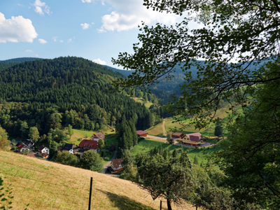 Bild 3 aus  Bierpeterhof