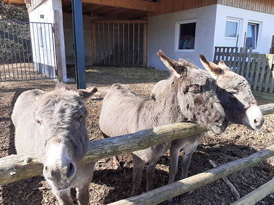 Bild 6 aus  Weberhof