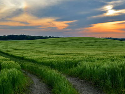 Bild 7 aus  Pieverstorf 2