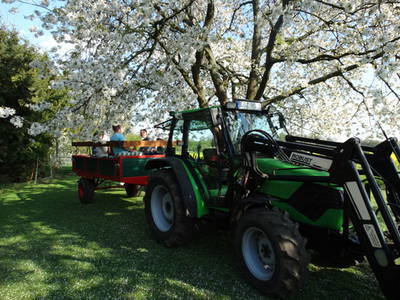 Bild 7 aus  Ferienhof Süllwold