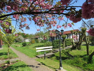 Bild 8 aus  Feriendorf Altes Land Verwaltungsgesellschaft mbH