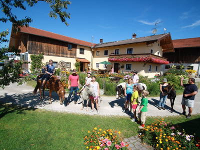 Bild 2 aus  Stefanutti Hof