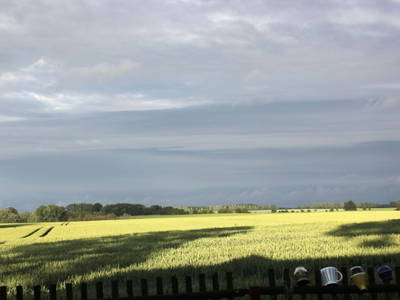 Bild 7 aus  Backhaus Swantow